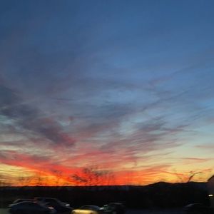 Meet your Posher, Zoie S